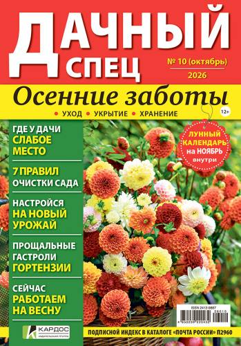 Дачный спец